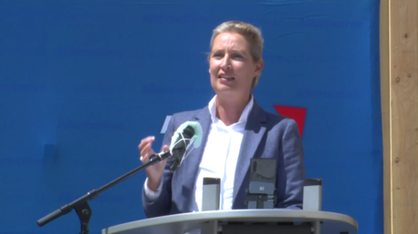 Deutschland: AfD protestiert in Stuttgart gegen Coronavirus-Einschränkungen