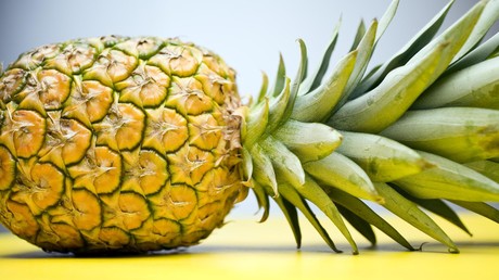 Polen: Grenzschützer stellen drei Tonnen Kokain in Ananas-Fruchtmark sicher