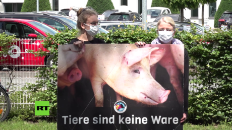 "Verhalten überrascht uns nicht": Wütende Anwohner protestieren vor Tönnies-Werk