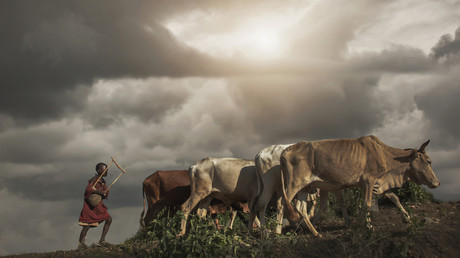 Studie: Wie die Bill-und-Melinda-Gates-Stiftung die Not in Afrika verschärft