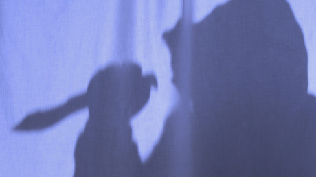 Live-Einbruch beim Online-Unterricht: Klasse ruft für Mitschülerin Polizei an