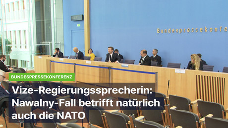 Bundesregierung zu Nawalny: "Russland hat Informationen, die gebraucht werden, nicht Deutschland"
