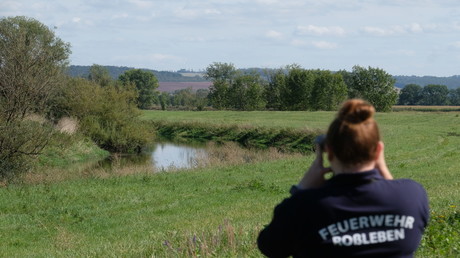 Hühnchen weg, Experte ran – Keine Entwarnung beim Unstrut-Krokodil