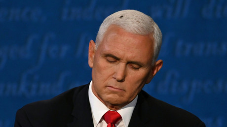 Fast vier Minuten Ruhm: Fliege nimmt an TV-Debatte zwischen Kamala Harris und Mike Pence teil