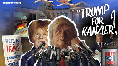 Wahlkämpfer! I can be your Bundeskanzler, Baby! | Strippenzieher