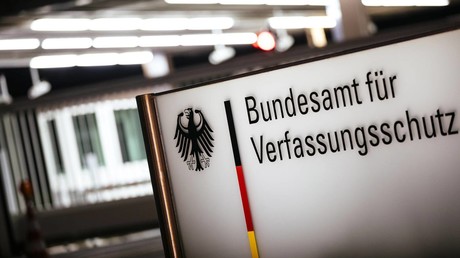 V-Leute in der AfD: Gauland will gegen inländischen Geheimdienst "kämpfen"