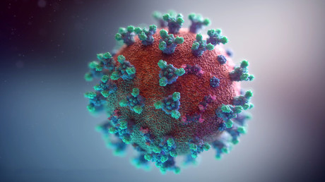 Bioinformatiker finden Hinweise auf Anpassung des Coronavirus an Impfstoffe