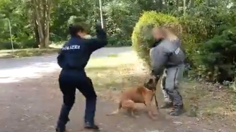 "Druff the cattle now!" - Criticism of brutal police dog training is not waning