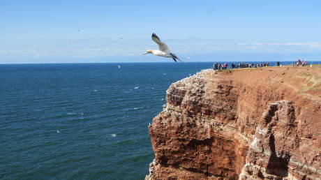 Helgoland: Coronafrei und mit Nullinzidenz – dennoch greift die Bundes-Notbremse