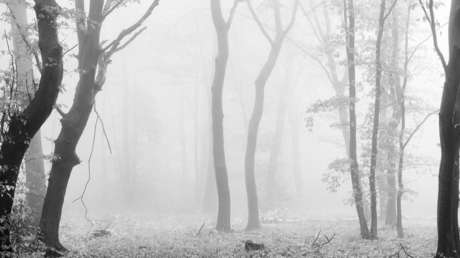 Nawalny-Arzt nach Jagdausflug im sibirischen Wald wieder aufgetaucht