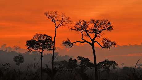 Am Amazonas brennt es wieder