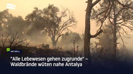 Viele Ferienorte evakuiert – Waldbrände toben an der türkischen Mittelmeerküste