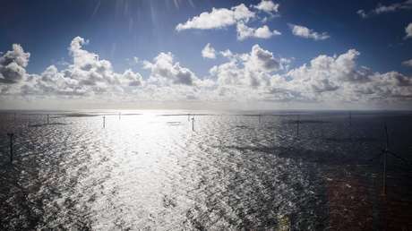 Windkraft auf dem Meer – Vögel verlieren immer mehr Lebensräume auf der Nord- und Ostsee
