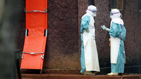 Marburg-Fieber in Guinea: WHO schickt Experten ins ...