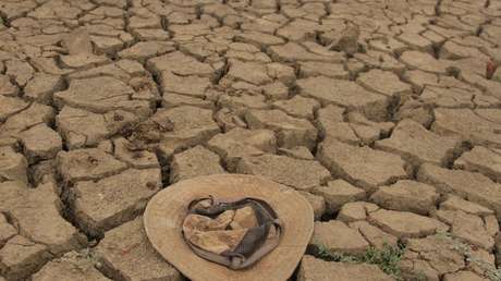 Globaler Hunger steigt drastisch aufgrund von Krieg, Klimawandel und Corona-Maßnahmen