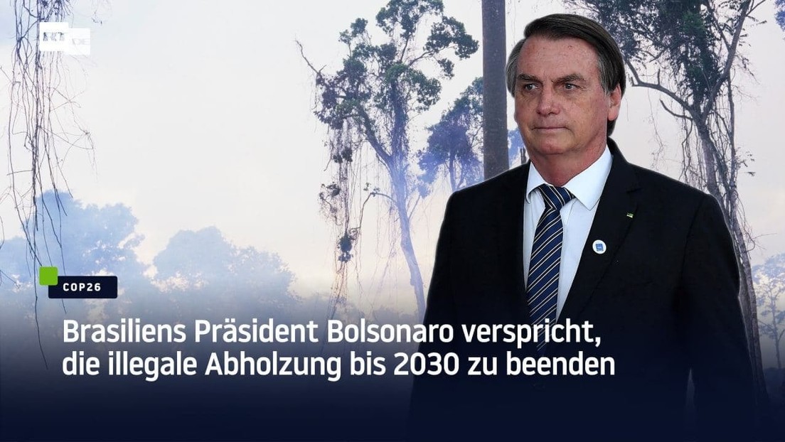 Brasiliens Präsident Bolsonaro verspricht, die illegale Abholzung bis 2030 zu beenden