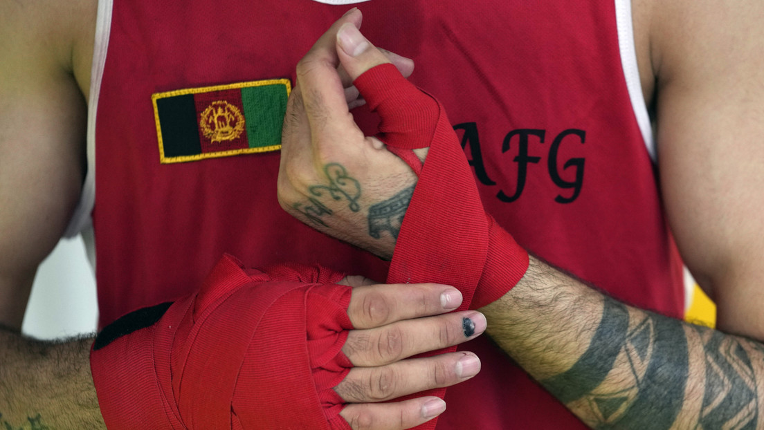 "Everyone told us: don't come back!": Afghan boxers stayed in Serbia after the World Cup