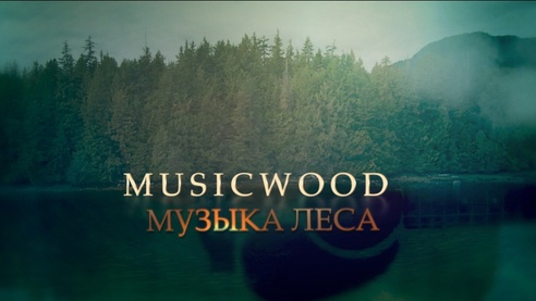 Музыка леса