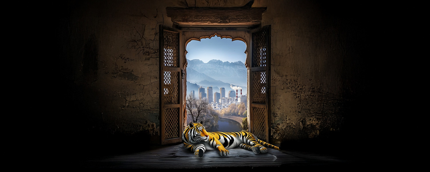 Окно в Пакистан