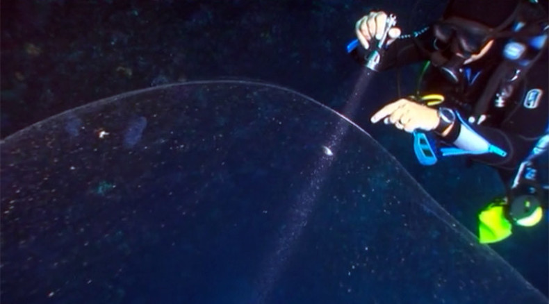 Out of the abyssal depths: Divers find mysterious giant blob near Turkish coast (VIDEO)