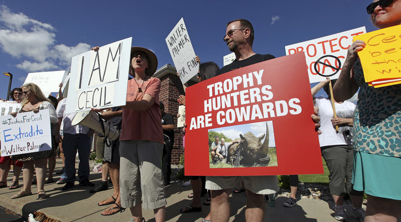 Lion kills tourist guide in Zimbabwe national park where Cecil lived