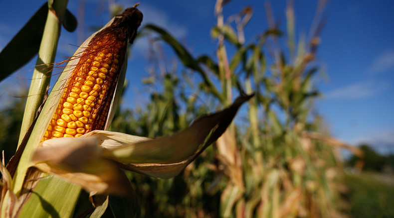 French court upholds guilty verdict in Monsanto poisoning case