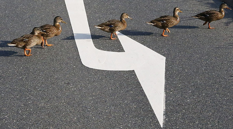 BRICS bank gets its ducks in a row