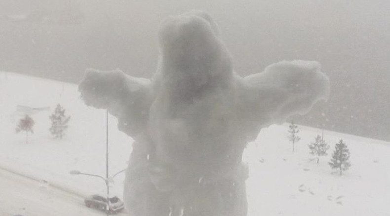 Too much even for Siberia: Worst blizzard in 10yrs turns Omsk into huge snowball (PHOTOS)