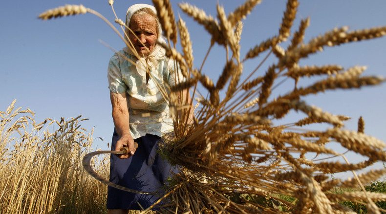 Leftists propose free land distribution to boost Russia’s middle class