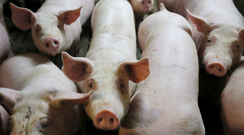 Last line breached? Deadly gene resisting all forms of antibiotics found in China