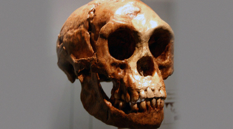 Ancient ‘hobbit’ people evolved from larger species, shrank in the process – study