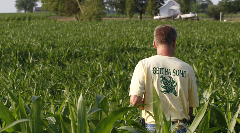 Food fight: Indiana farmers sue seed company over millions in losses