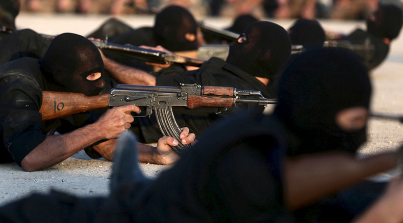 Obama signs NDAA, approving $800 million aid to ‘moderate’ Syrians, Kiev