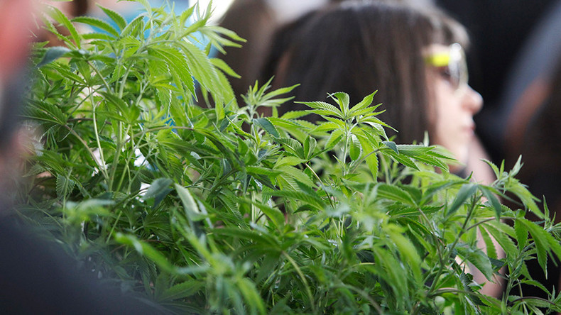 Canada to be first G7 country to legalize weed - Gov-General