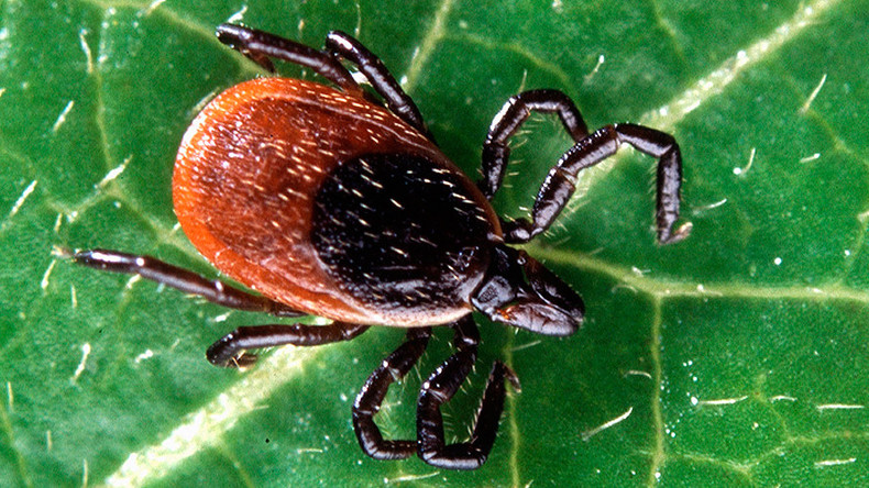 Ticks that carry Lyme disease now in 45% of US counties