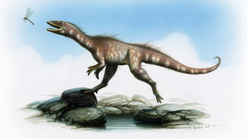 Welsh Dracoraptor bones confirmed to be new Jurassic species