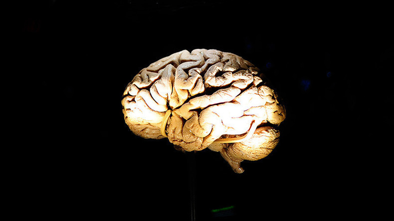 ‘Bombshell discovery’: Human brain can hold 10 times more memories than previously thought – study