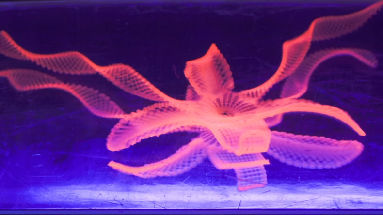 Harvard scientists use 3D printer to create 4D flower