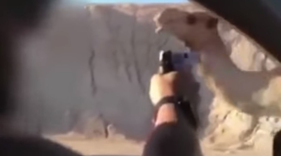 2 IDF soldiers sentenced to prison, demoted for drive-by shooting of camel