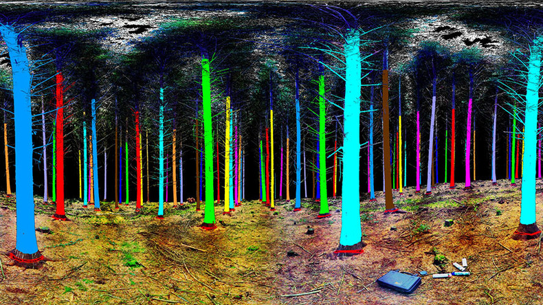 Future forestry: 3D space technology aims to cut down on logging