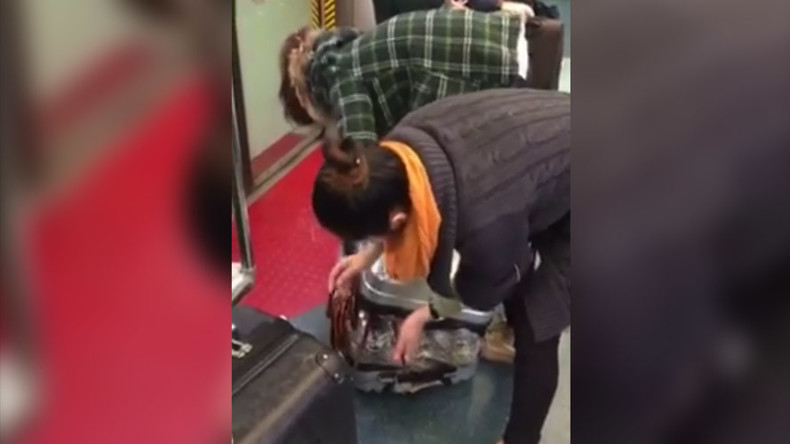 Women stuff live lobsters into suitcase on Hong Kong train (VIDEO)