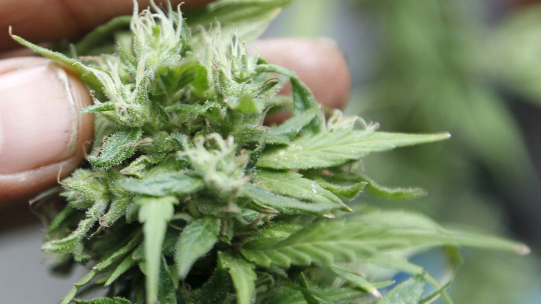Native American church fights for right to use cannabis & peyote