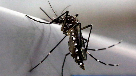 UN nuclear agency suggests using radiation to fight Zika mosquitos 