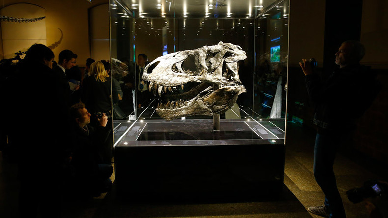Pregnant T. rex may contain dinosaur DNA, an impossible find