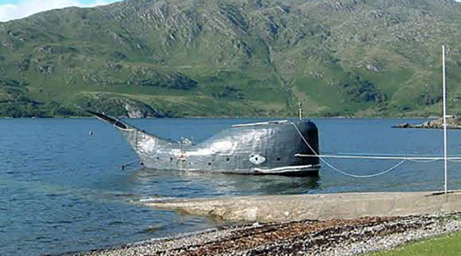 homemade whale-shaped boat 'moby' set for atlantic voyage