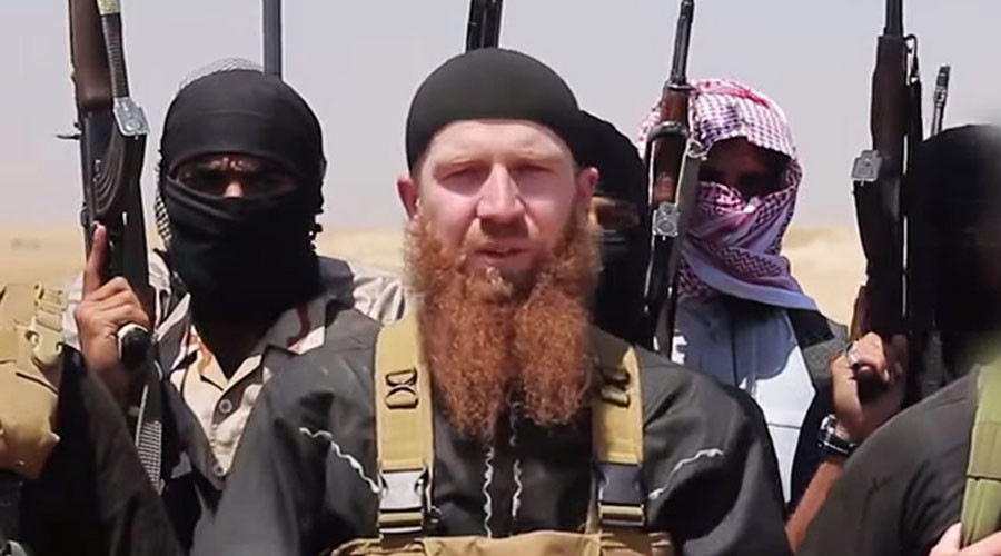 ISIS 'minister of war' al-Shishani likely killed in airstrike – Pentagon