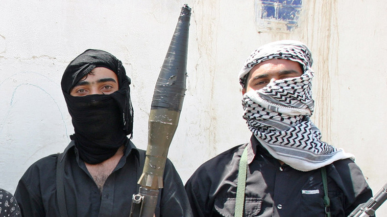 Swedish social workers lack strategy to deal with radicalized youths – govt survey