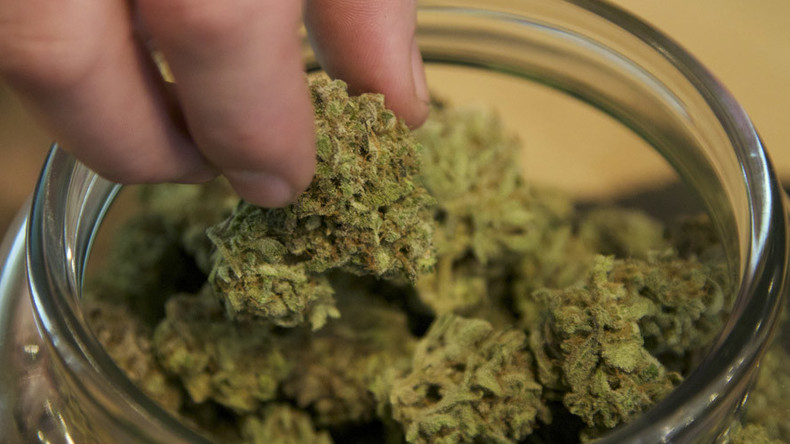 Passover the doobie: Top rabbi rules that marijuana is kosher for Jewish holiday