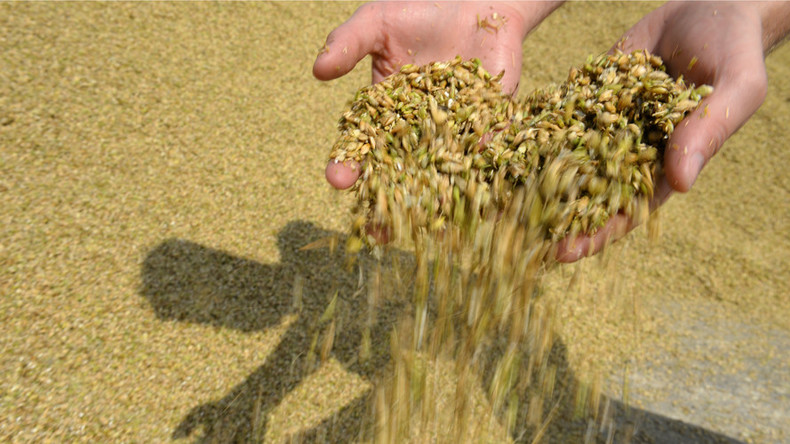 China to import more Russian wheat
