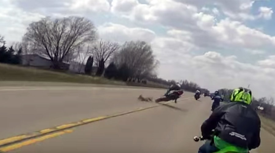 Motorcycle vs dog Biker hits pooch, narrowly avoids getting hit by